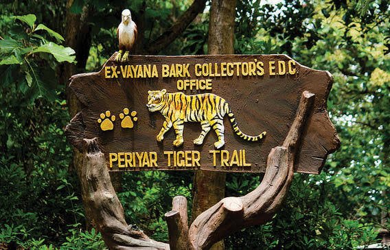 Best Things to Do in Thekkady for First-Time Visitors